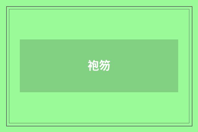 袍笏
