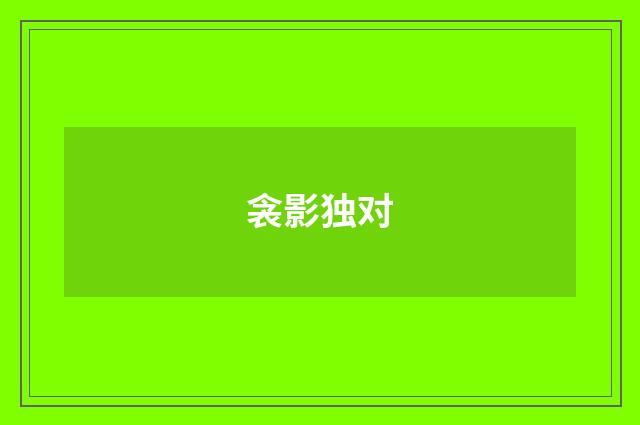 衾影独对