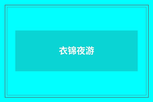 衣锦夜游