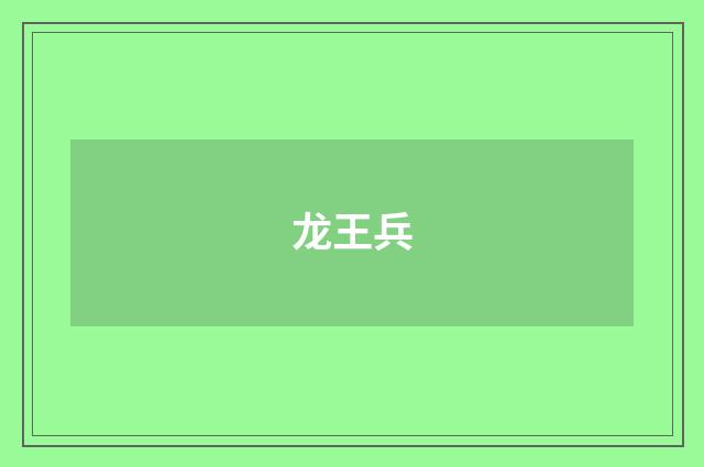 龙王兵