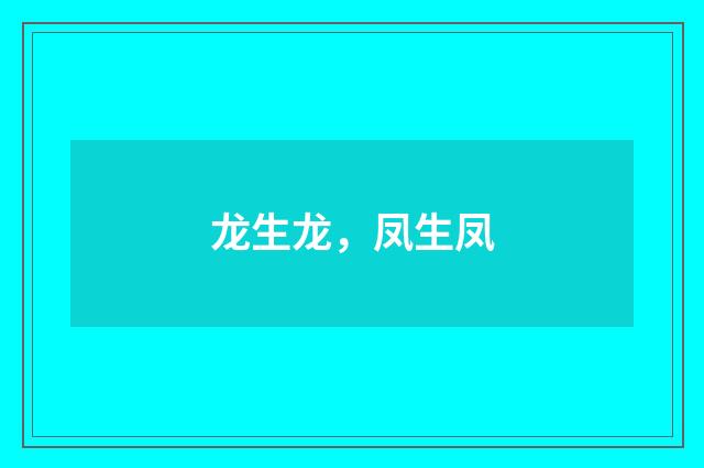 龙生龙，凤生凤