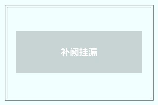 补阙挂漏