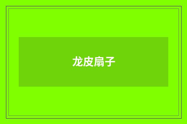 龙皮扇子