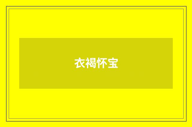 衣褐怀宝