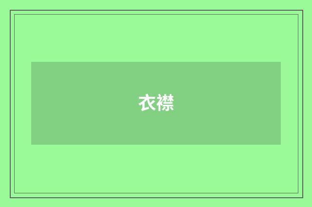 衣襟