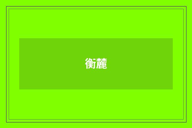 衡麓