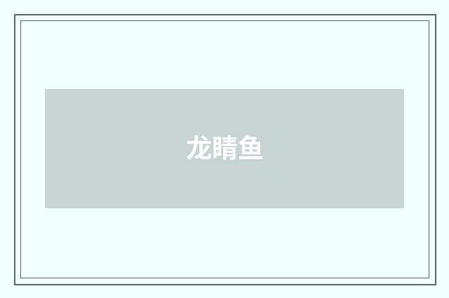 龙睛鱼