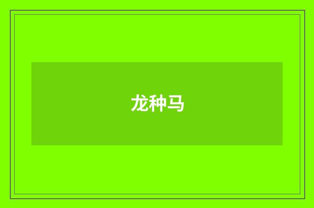 龙种马