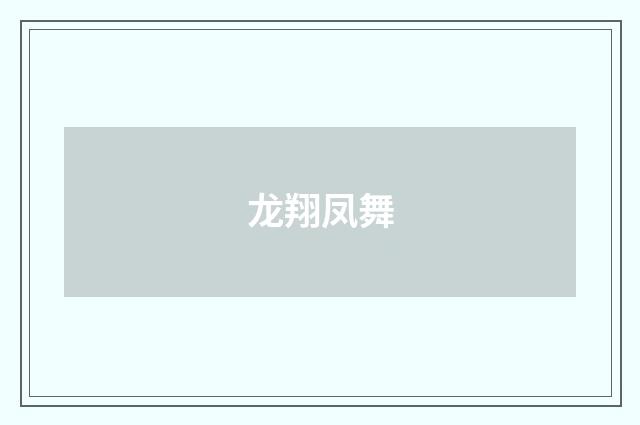 龙翔凤舞