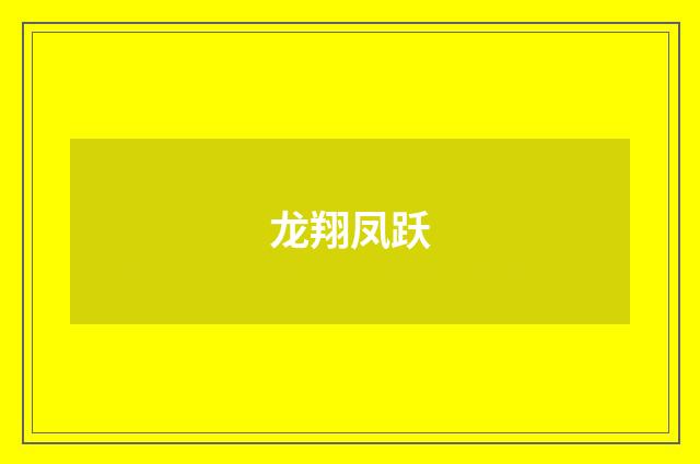 龙翔凤跃