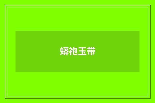 蟒袍玉带
