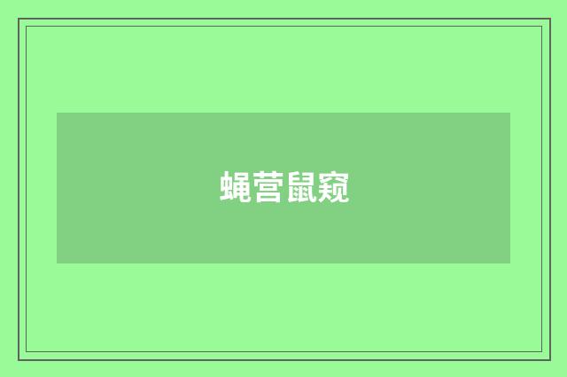 蝇营鼠窥