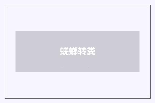 蜣螂转粪
