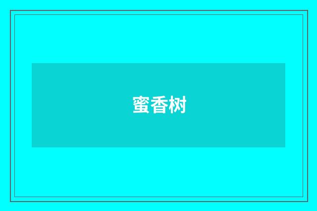 蜜香树