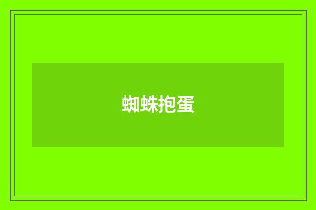 蜘蛛抱蛋