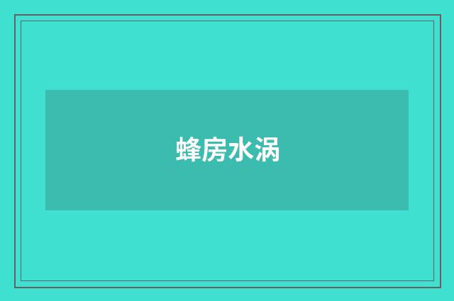 蜂房水涡