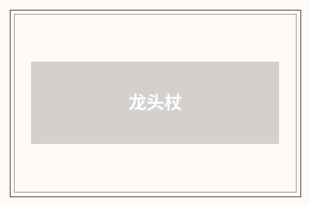龙头杖