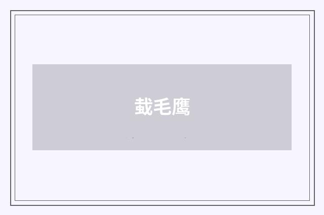 蛓毛鹰
