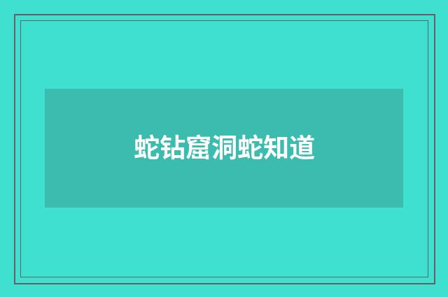 蛇钻窟洞蛇知道
