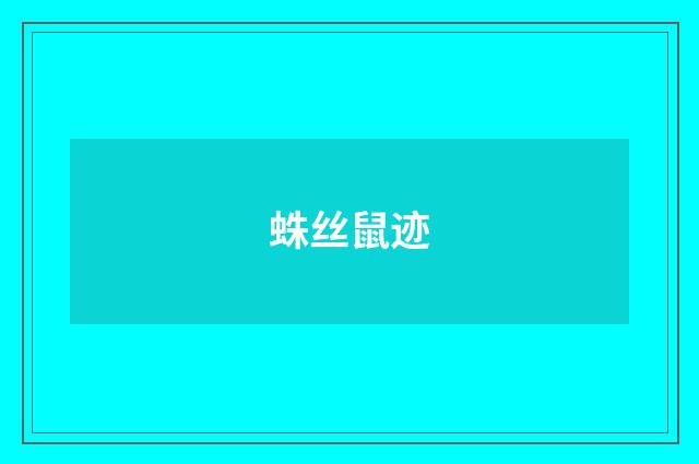 蛛丝鼠迹