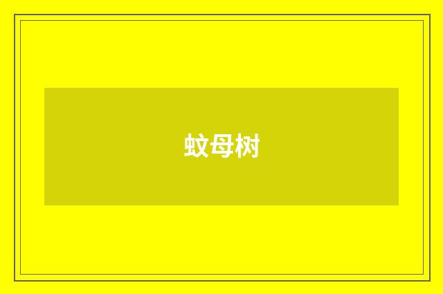 蚊母树