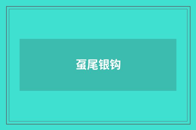 虿尾银钩