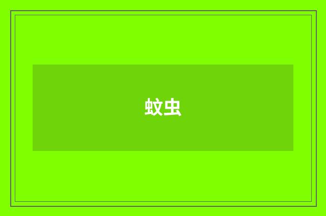 蚊虫