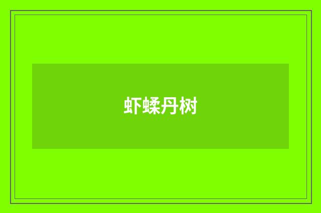 虾蝚丹树