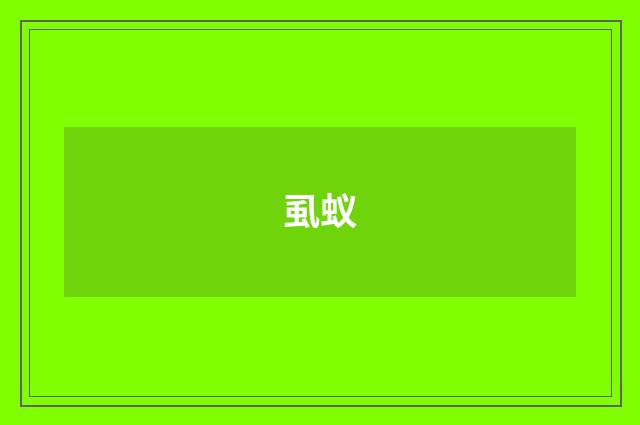 虱蚁