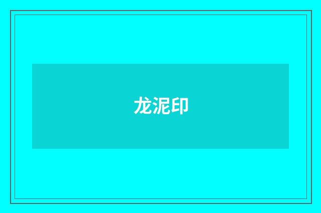 龙泥印