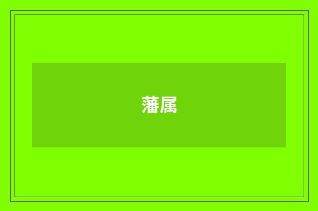 藩属