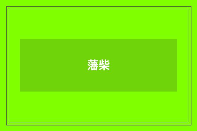 藩柴