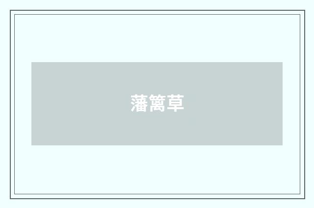 藩篱草