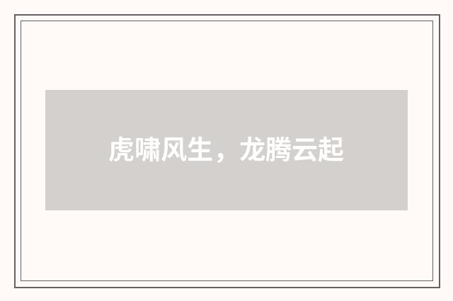 虎啸风生，龙腾云起