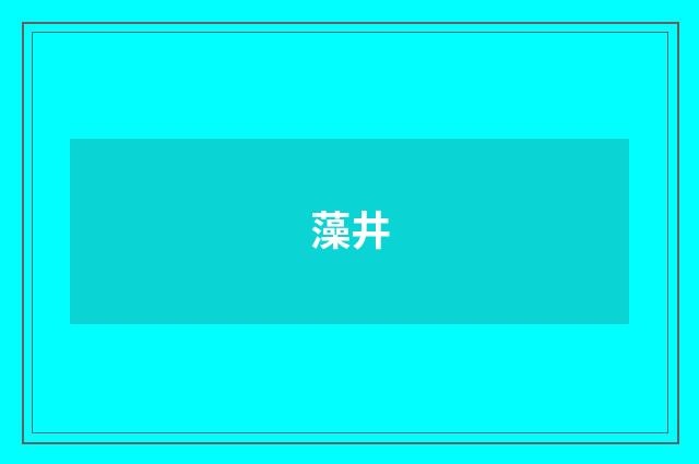 藻井