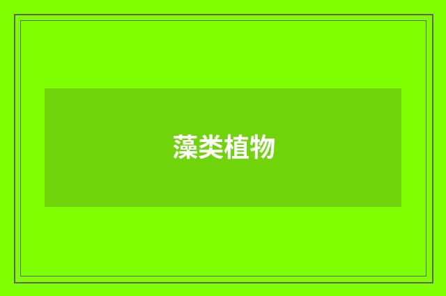 藻类植物