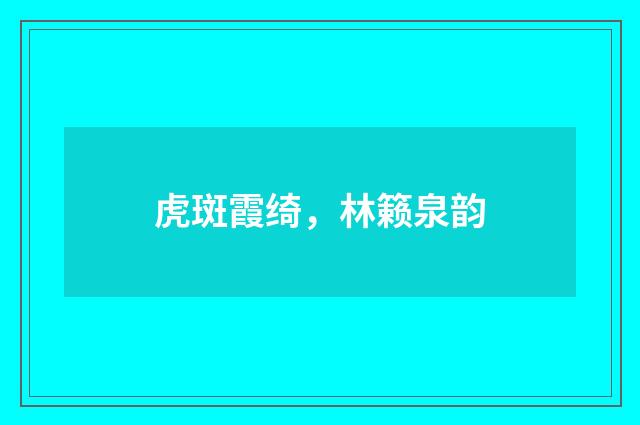 虎斑霞绮，林籁泉韵