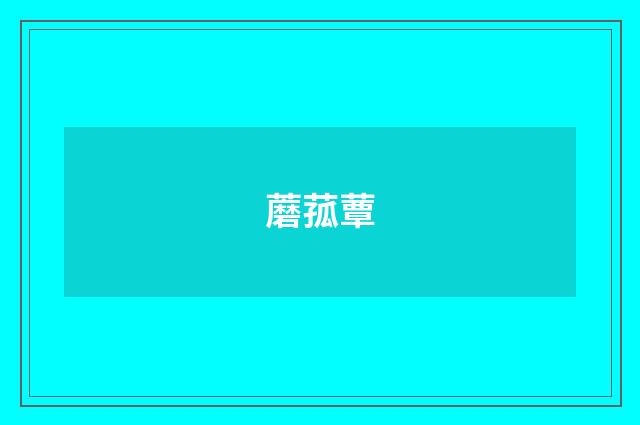 蘑菰蕈