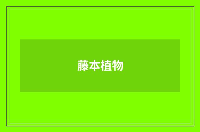 藤本植物