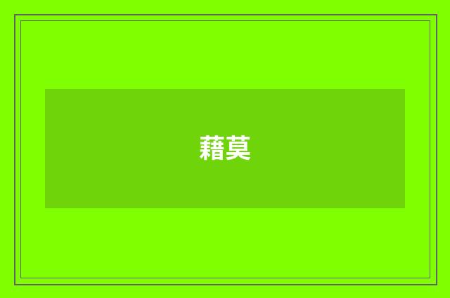 藉莫