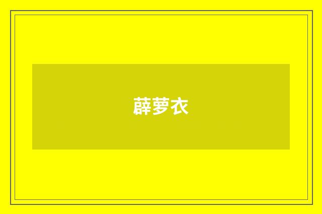 薜萝衣