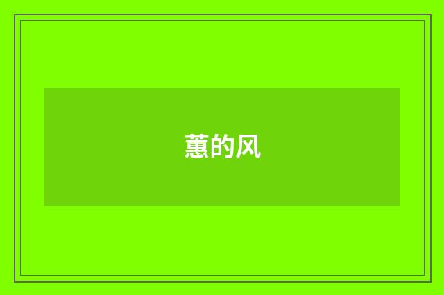 蕙的风