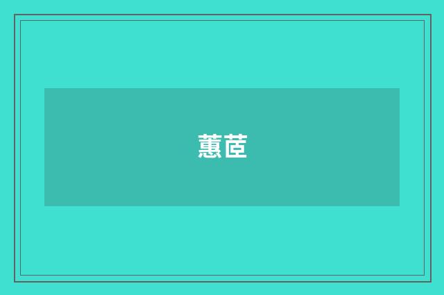 蕙茝
