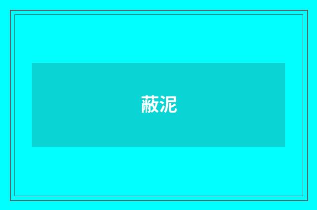 蔽泥
