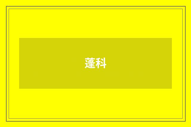 蓬科