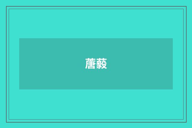 蓎藙
