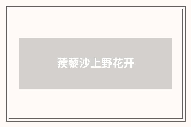 蒺藜沙上野花开
