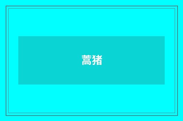 蒿猪