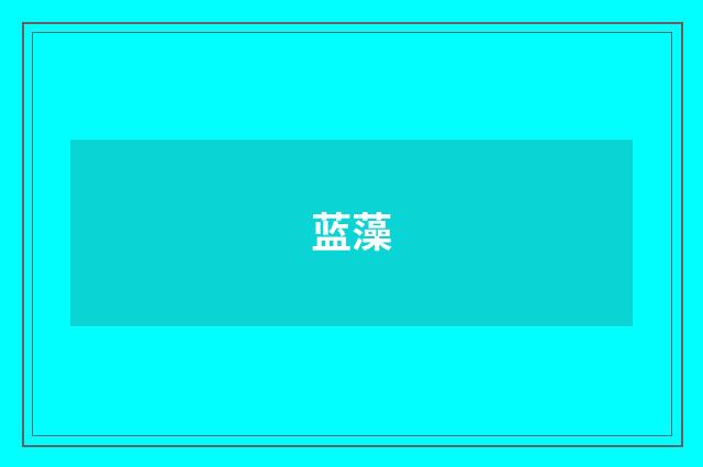 蓝藻