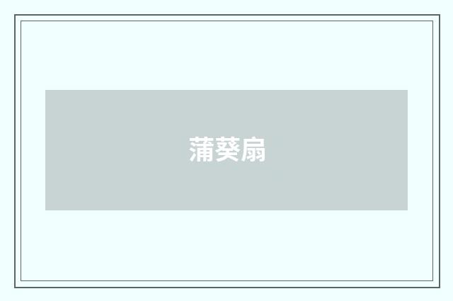 蒲葵扇
